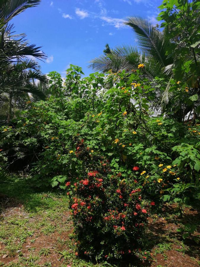 San Gerardo Hotel Valle Azul מראה חיצוני תמונה